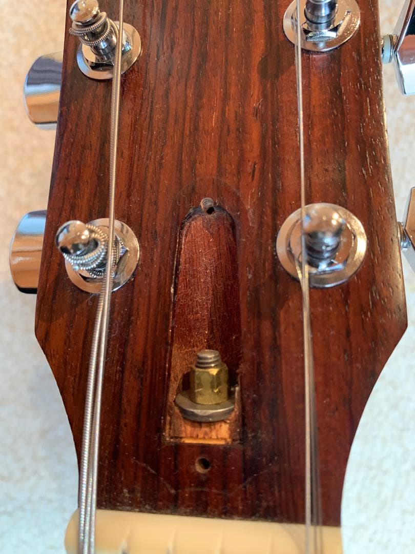 テイラー　114ce