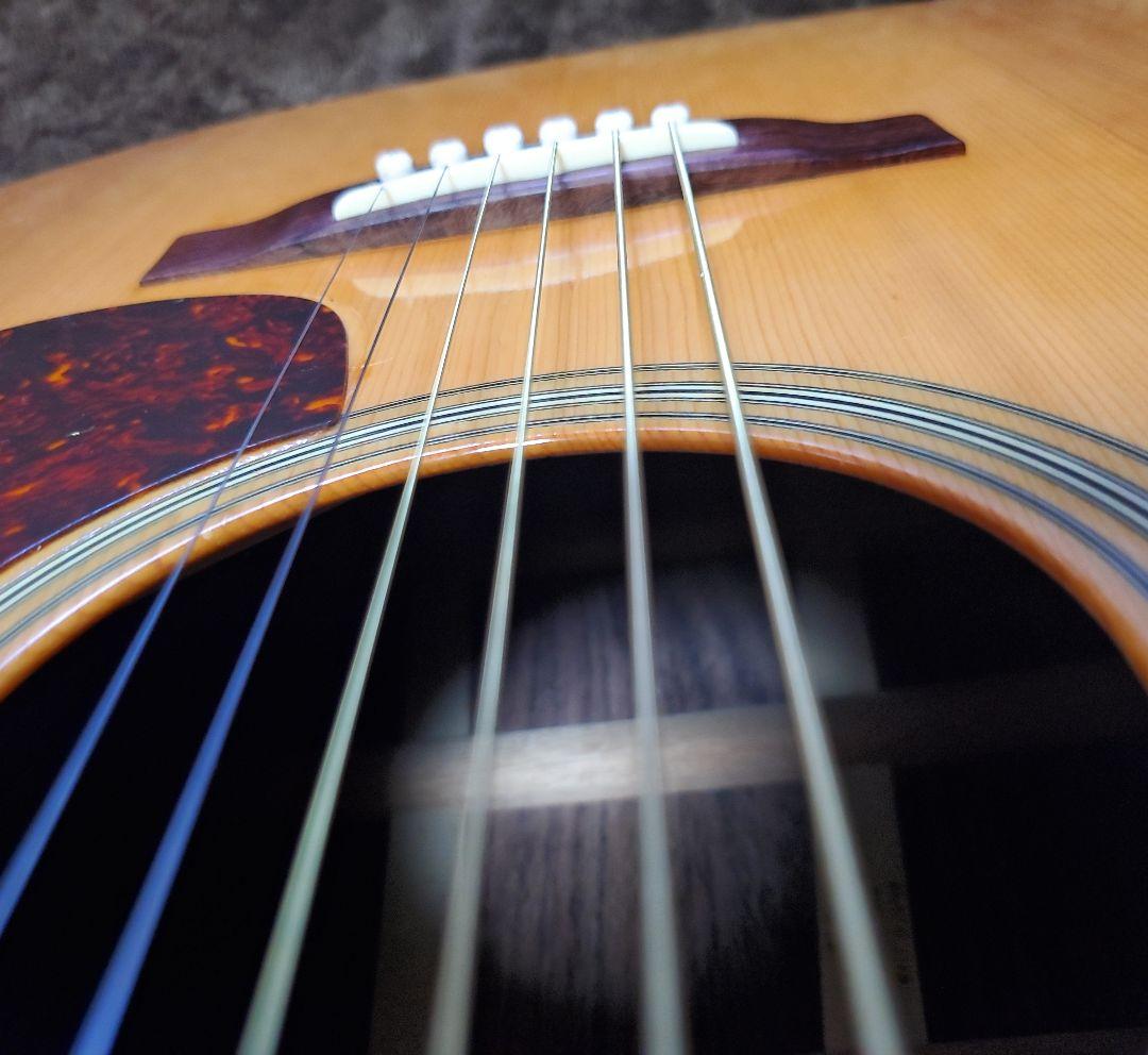 Yamaki ヤマキ YM-500 トップ単板 ジャパンヴィンテージ 3Pバック