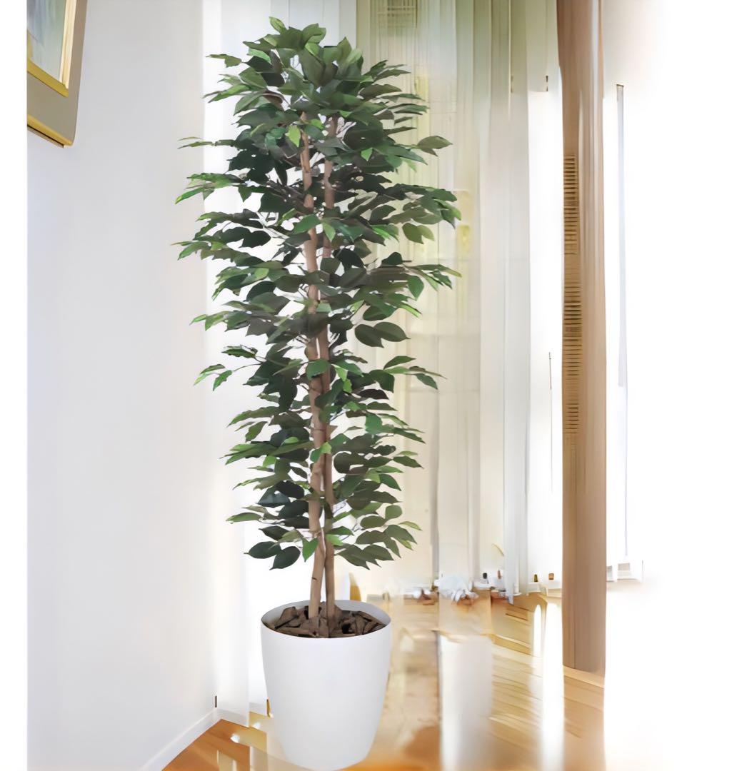 光触媒　人工観葉植物　フェイクグリーン　ベンジャミンスリム 1.8m
