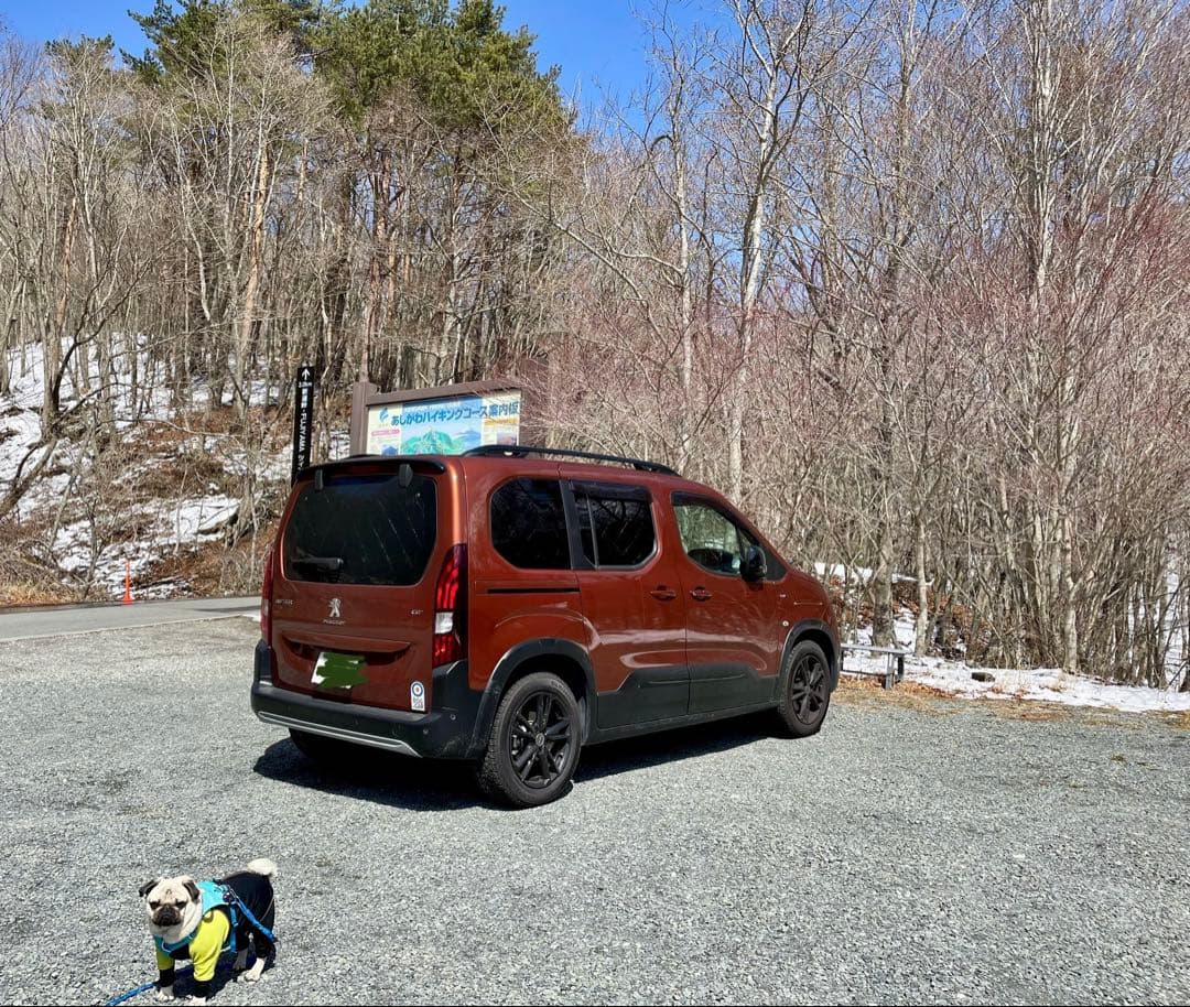 【サム】ベルランゴ／リフター　スタッドレスタイヤ215/60R17 4本