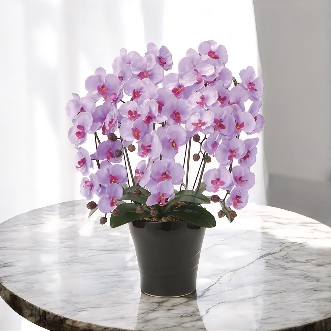 光触媒　人工観葉植物　ウォールグリーン　フェイクグリーン　クイーン胡蝶蘭５本立Ｌ