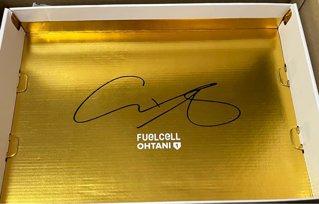 【即日発送】サイズ29㎝　Ohtani v1 Turf