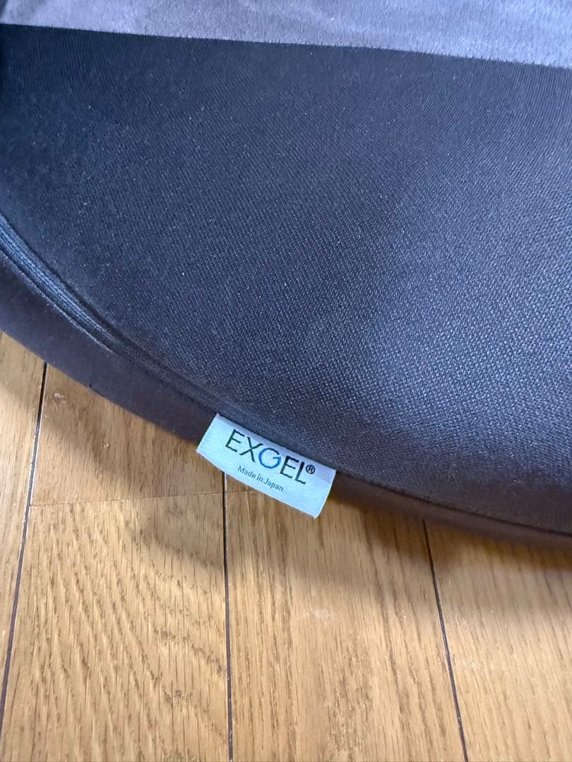 EXGEL エクスジェル 座椅子 ハグ床座 骨盤サポート HUG YUKAZA