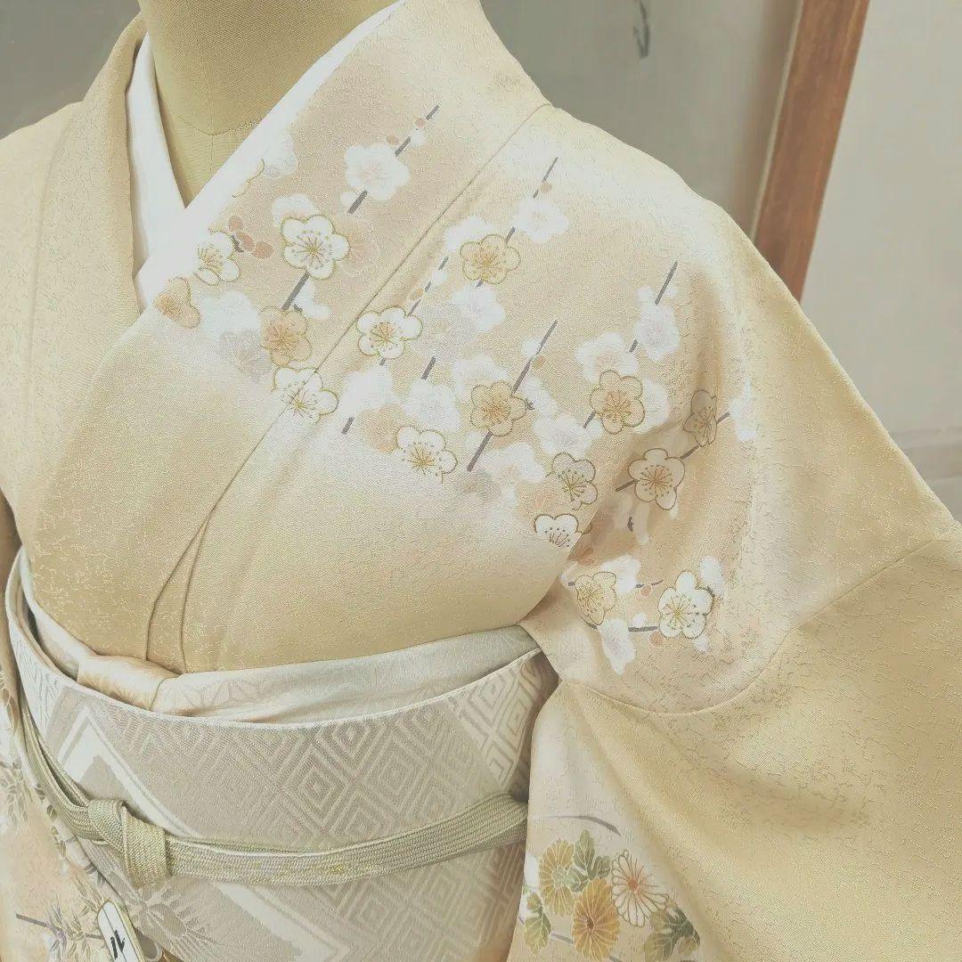 訪問着4点フルセット、着物、袋帯、帯締め、帯揚げ ゆき丈69