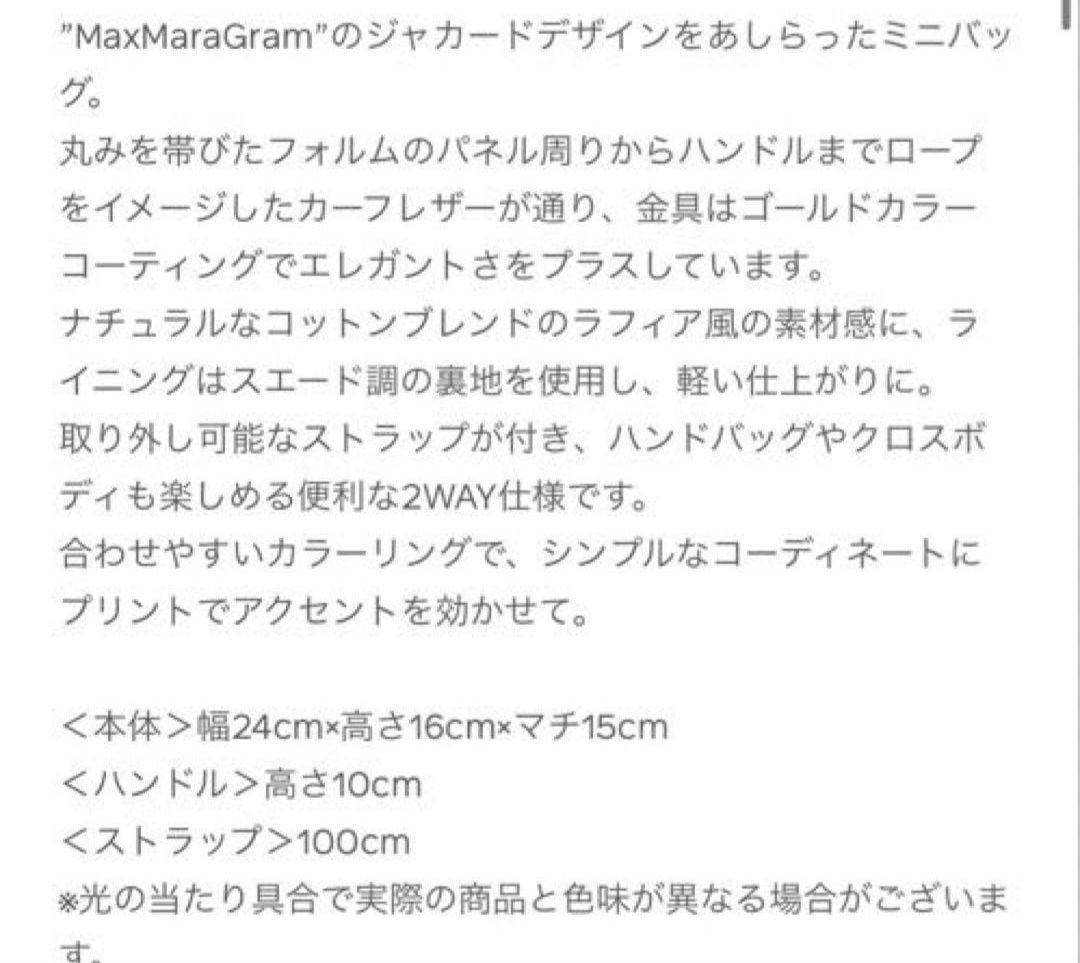 trmznです。MaxMaraミニバッグ