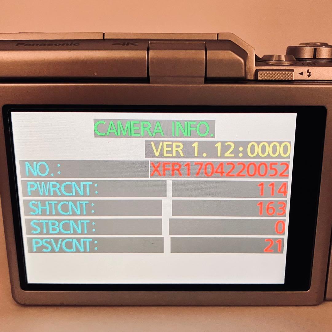 Panasonic DC-GF9 オレンジ　ダブルレンズキット