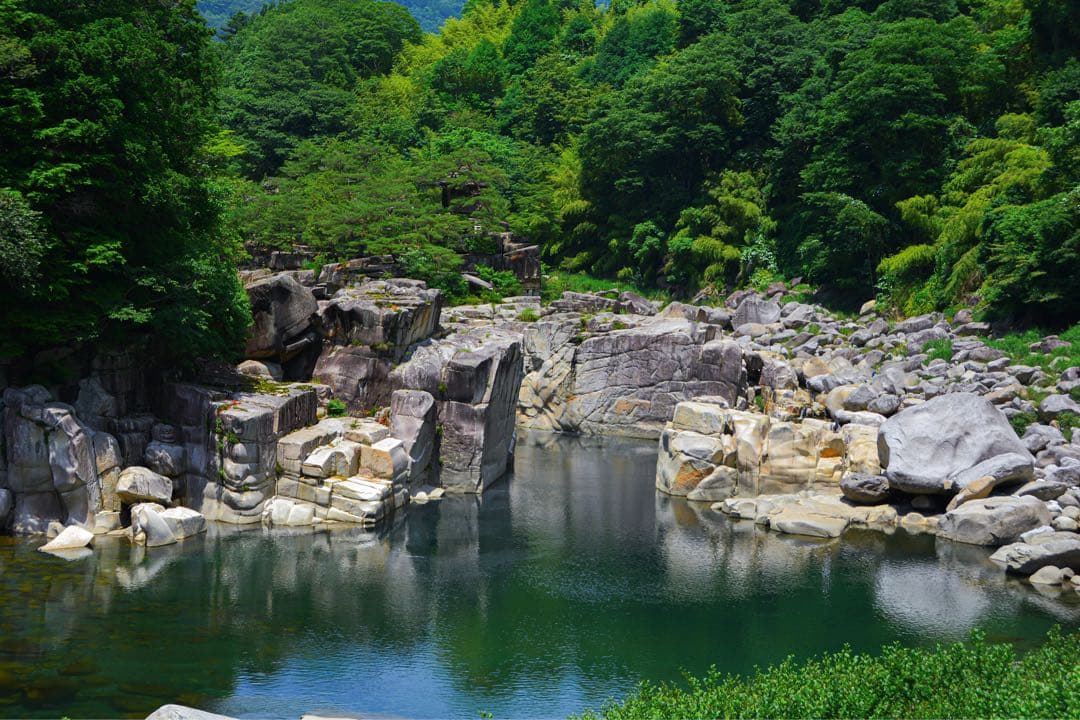 Nikon 24mm f/2.8 単焦点レンズ