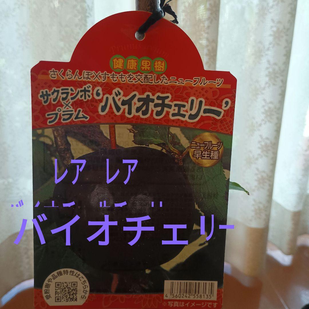 ✳バイオチェリー✳かなりレア物✳、プラム ネスレー２点セット