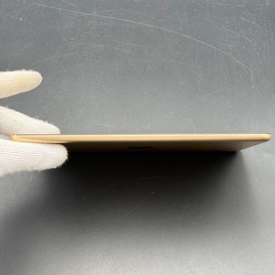 【美品】iPad mini4 16GB セルラーモデル　ゴールド　箱付き