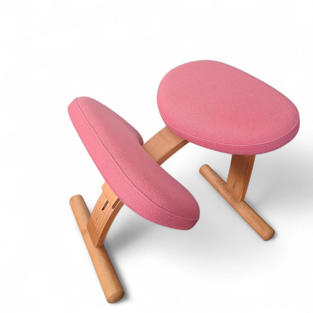 バランスチェア Balans EASY バランスイージー Rybo社