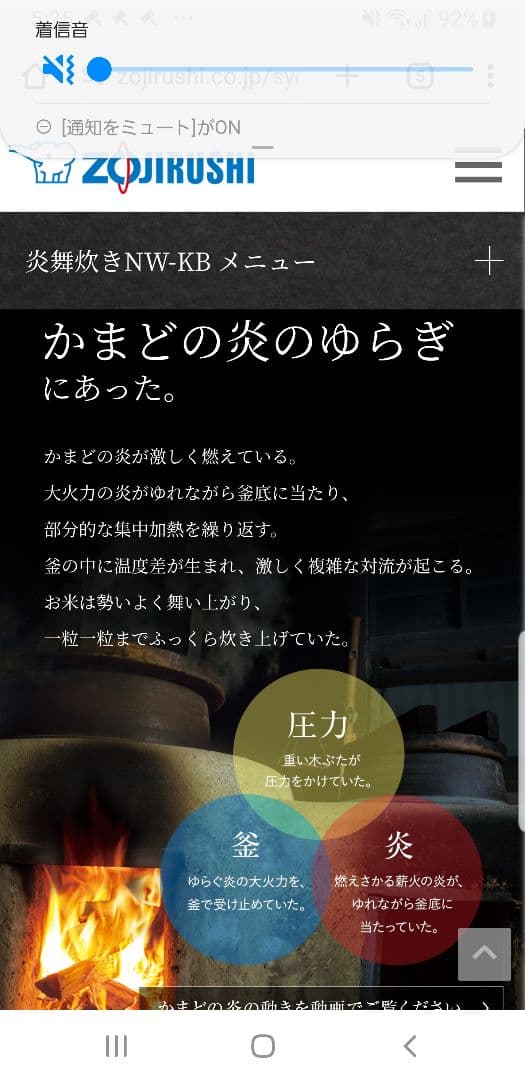 ☆2020年製☆ハイエンドモデル☆炎舞炊き☆象印 圧力IH炊飯器 NW-KB10