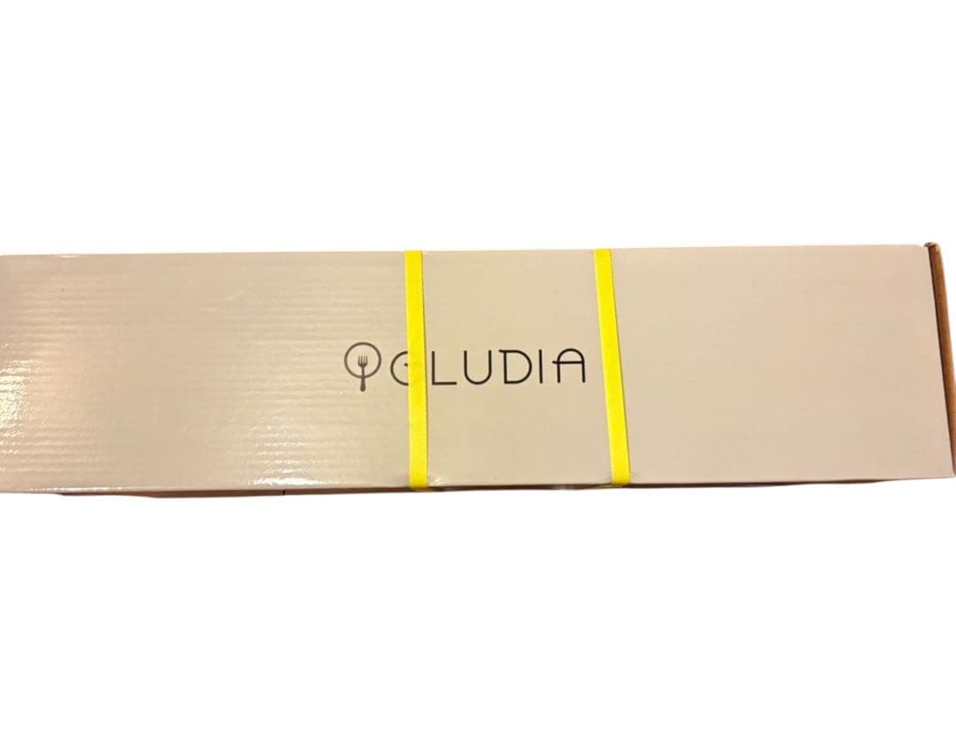 ★未開封GLU-INM01 低温調理器 GLUDIA ブラック