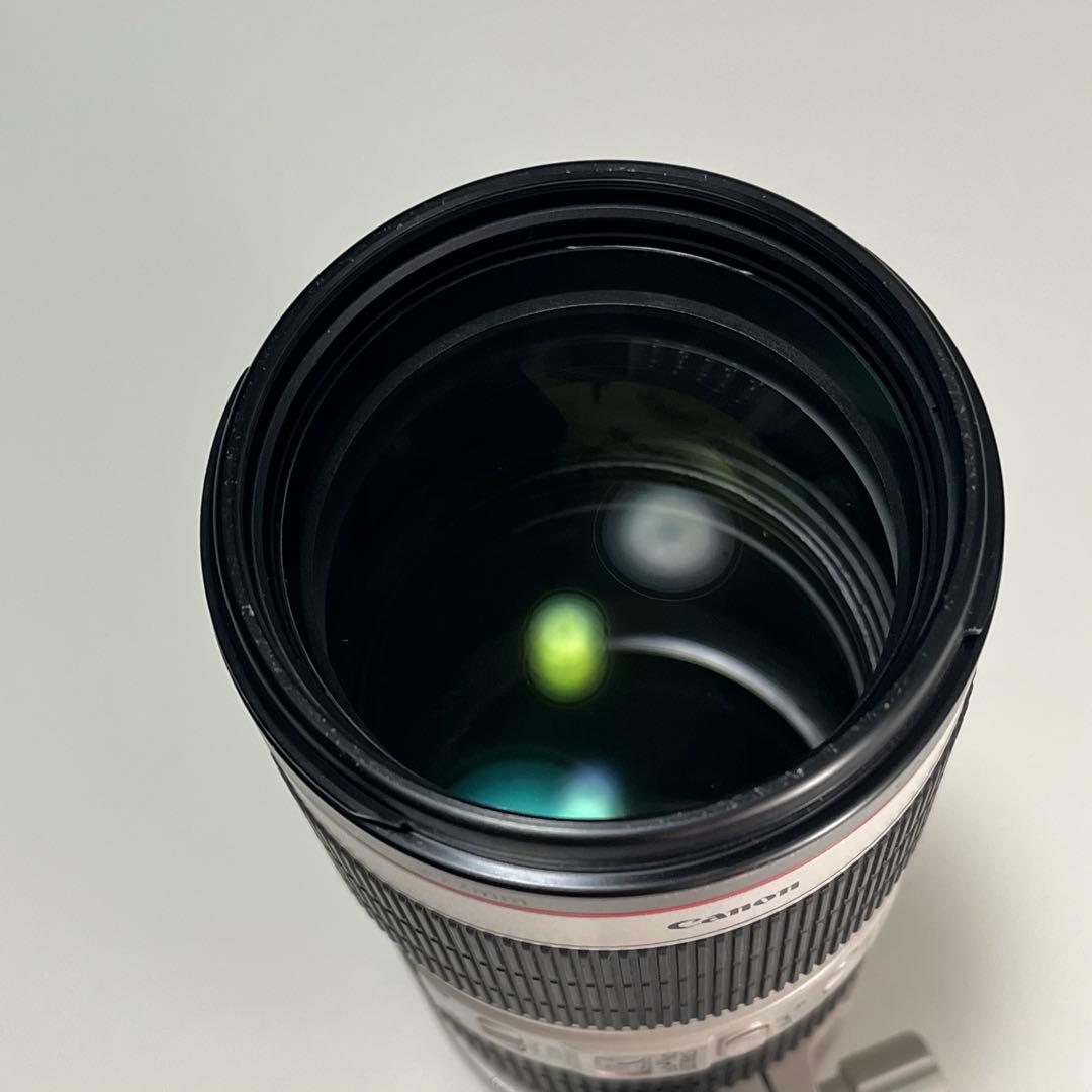 Canon EF 70-200mm f/2.8L IS II USM キャノン