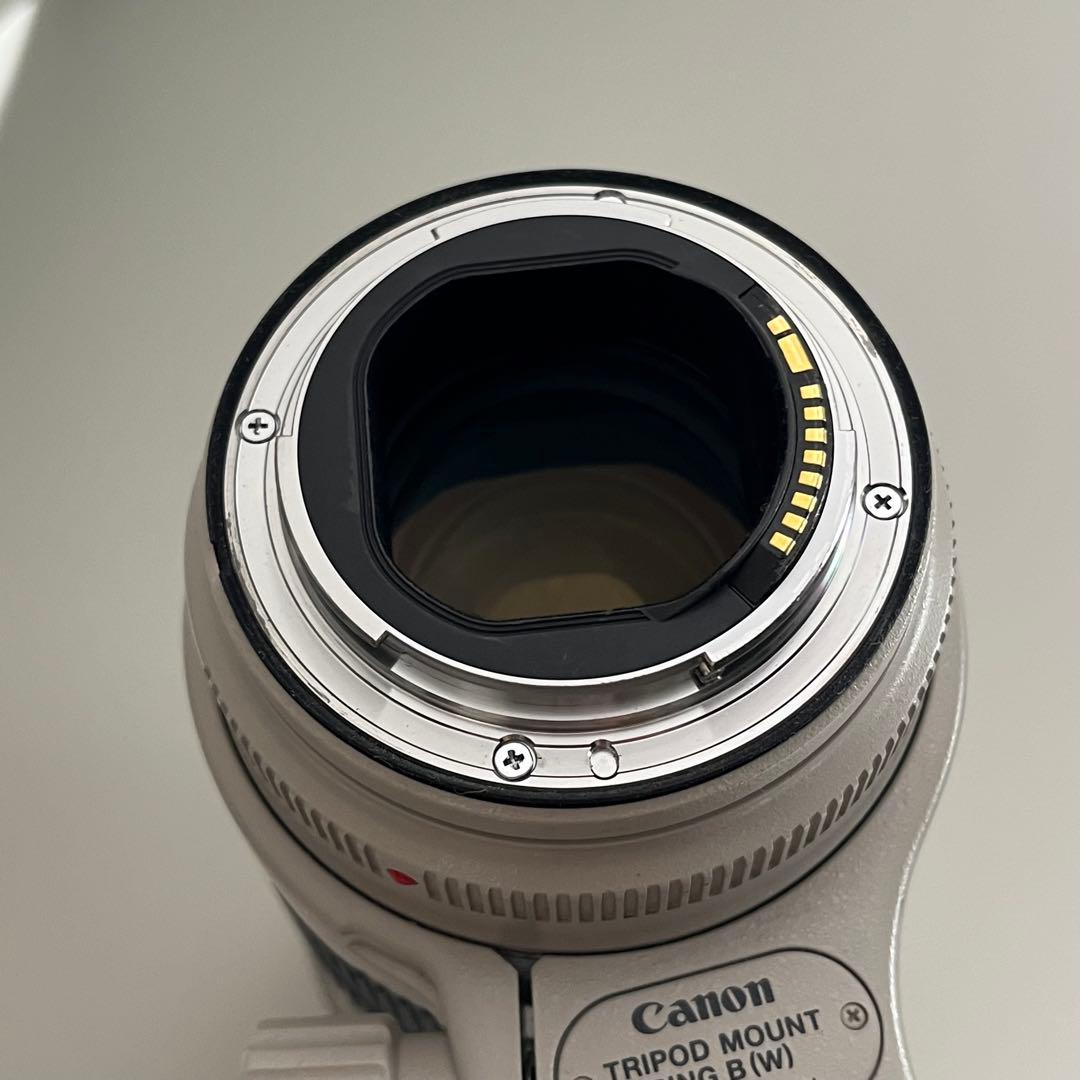 Canon EF 70-200mm f/2.8L IS II USM キャノン