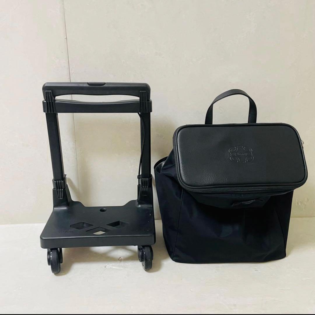 【美品】スワニー キャリーバッグ アミーカ 4輪ストッパー 17L