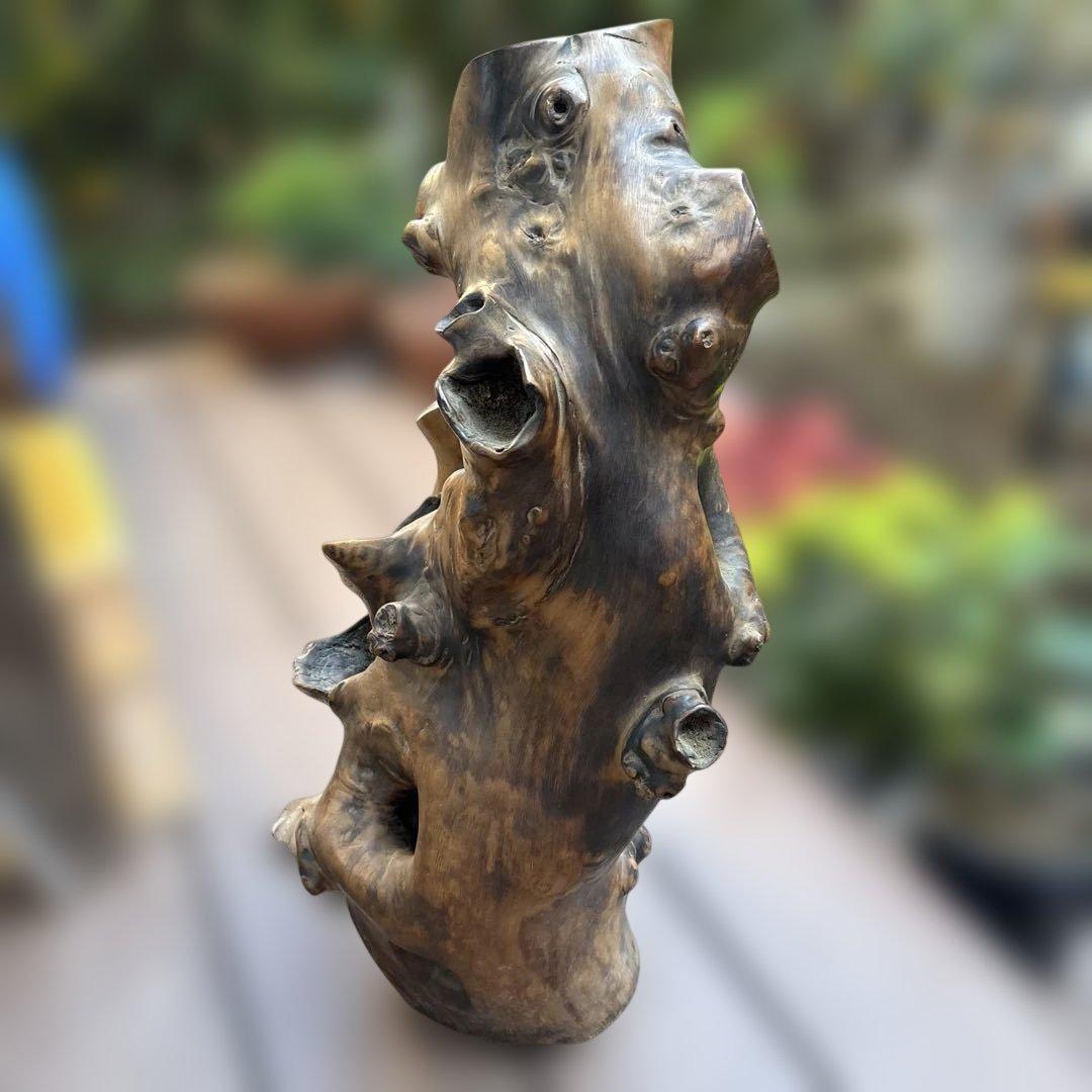 貴重 送料込み 高さ70cｍ 天然木の置物 木の洞 衝立　オブジェ インテリア