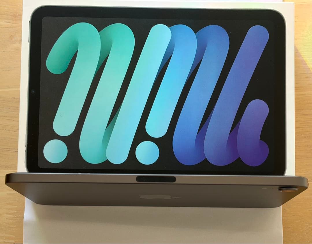 iPad mini 第６世代 グレー 64GB wifi バッテリー90%