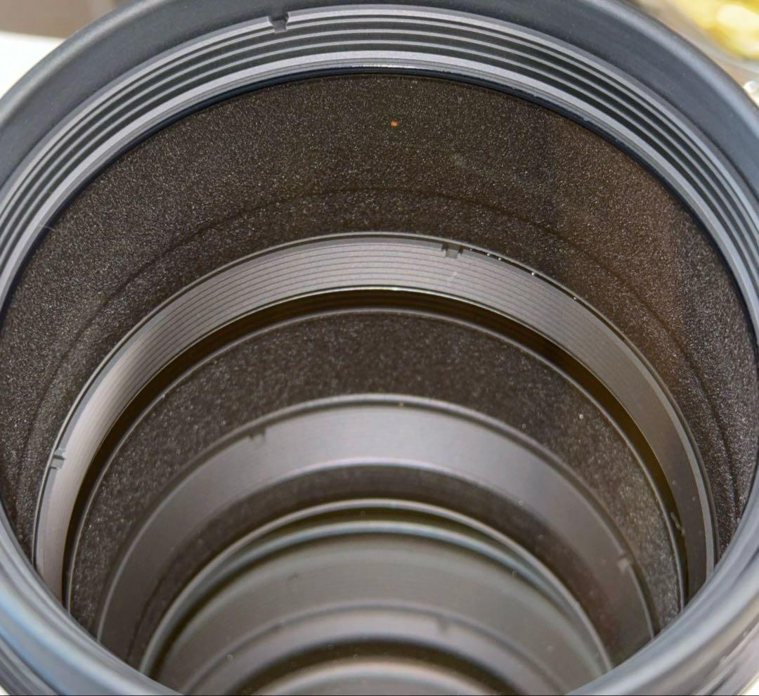 キャノン大口径単焦点レンズ EF500mm F4L IS II USM