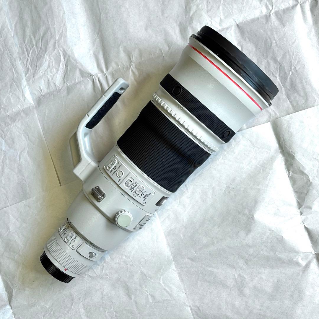 キャノン大口径単焦点レンズ EF500mm F4L IS II USM