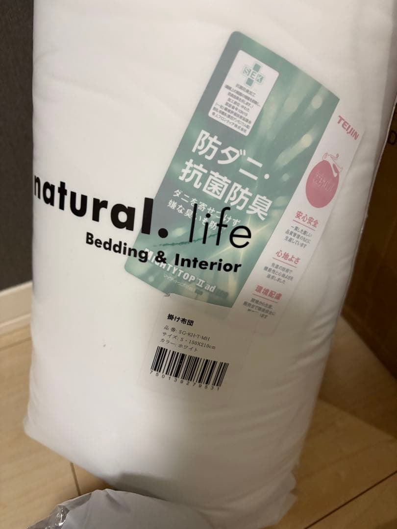 RASIK Famite LED照明付きローベッド シングル グレー&マット付き