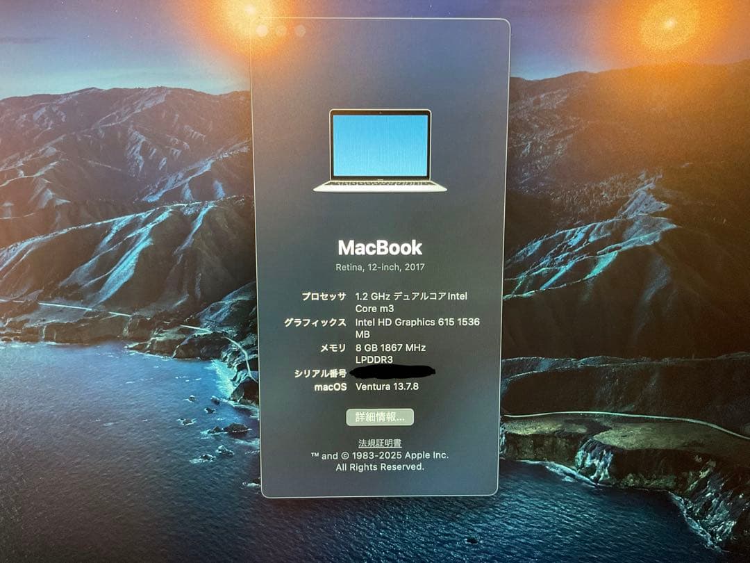 Apple MacBook 12インチ シルバー極上美品