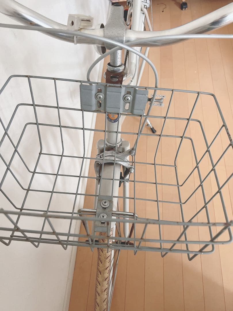 ぱおぱおトーキョーバイク