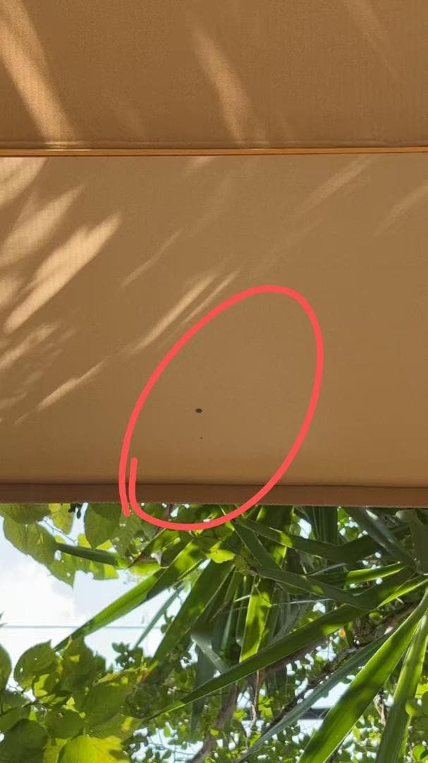 【中古】ダンスミラー 割れない鏡 幅80x160cm 姿見 木色 13番