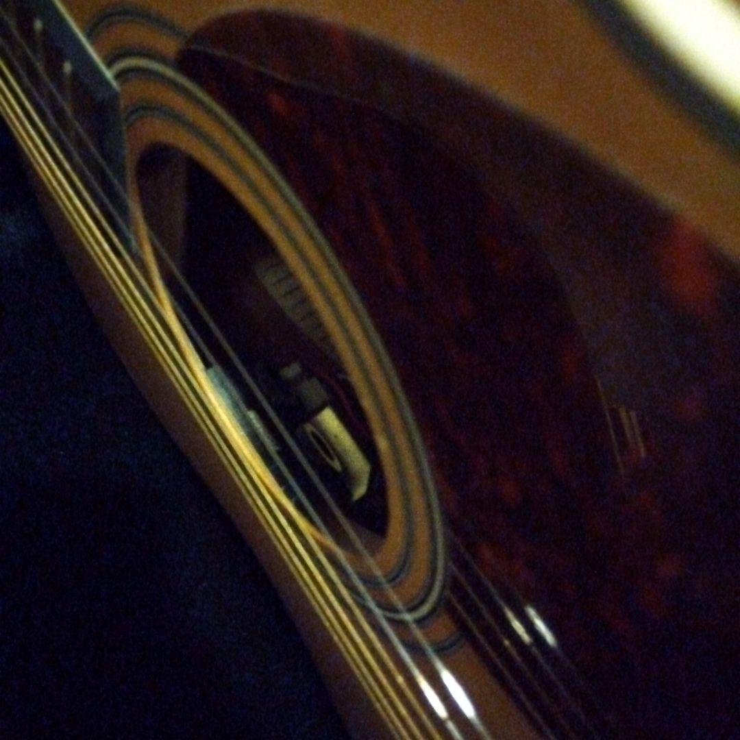 スタッフォード 　エレアコ　タカミネハードケース付き