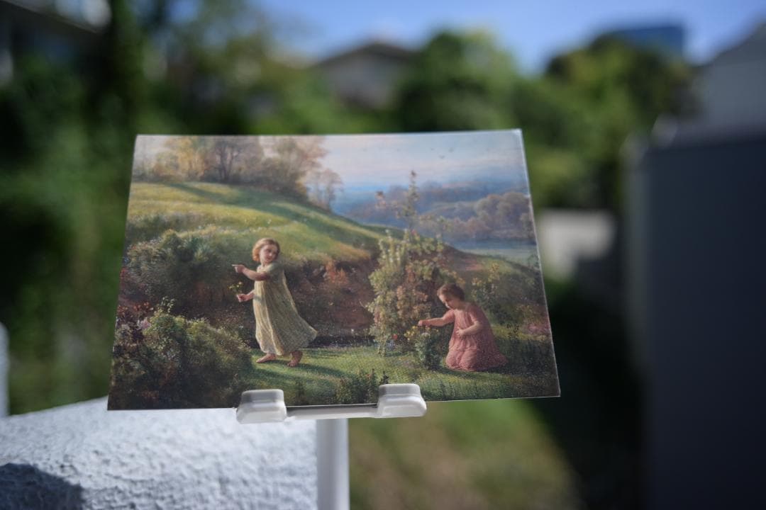 カ*読様 ContaxG Carl Zeiss Biogon Mマウント 28m