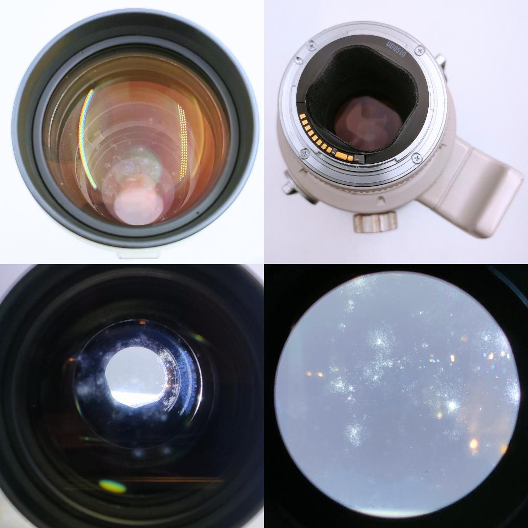 レンズ(単焦点) CANON EF 300mm F2.8 L ULTRASONIC