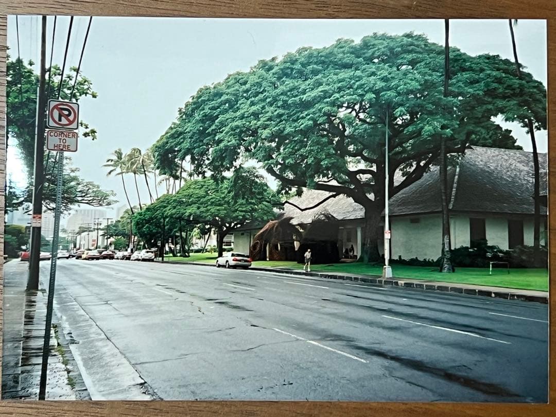 現像例有★LOMOロモ コンパクトフィルムカメラ LC-A MINITAR-1