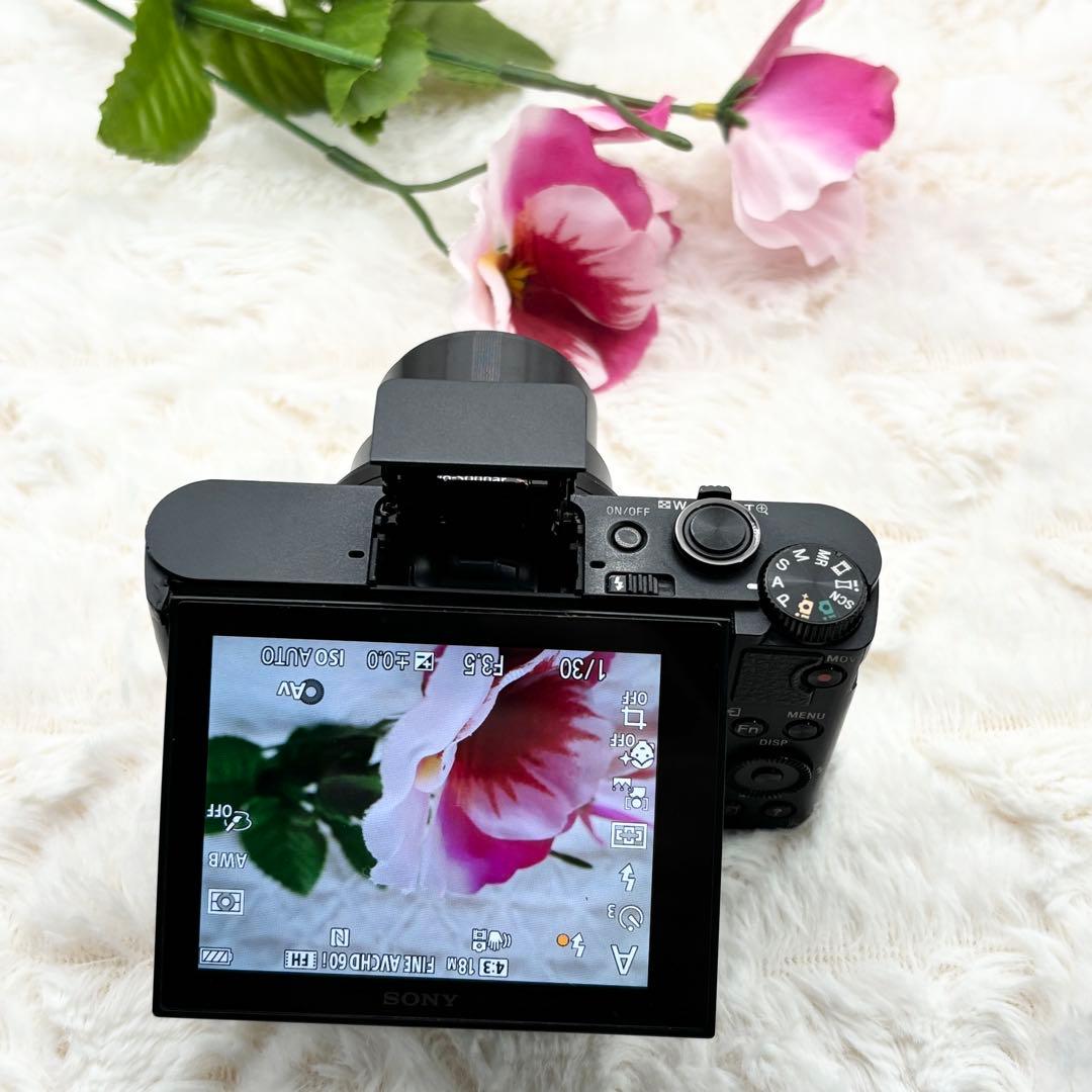 付属品完備 Sony Cyber-Shot DSC-WX500 ブラック 訳あり