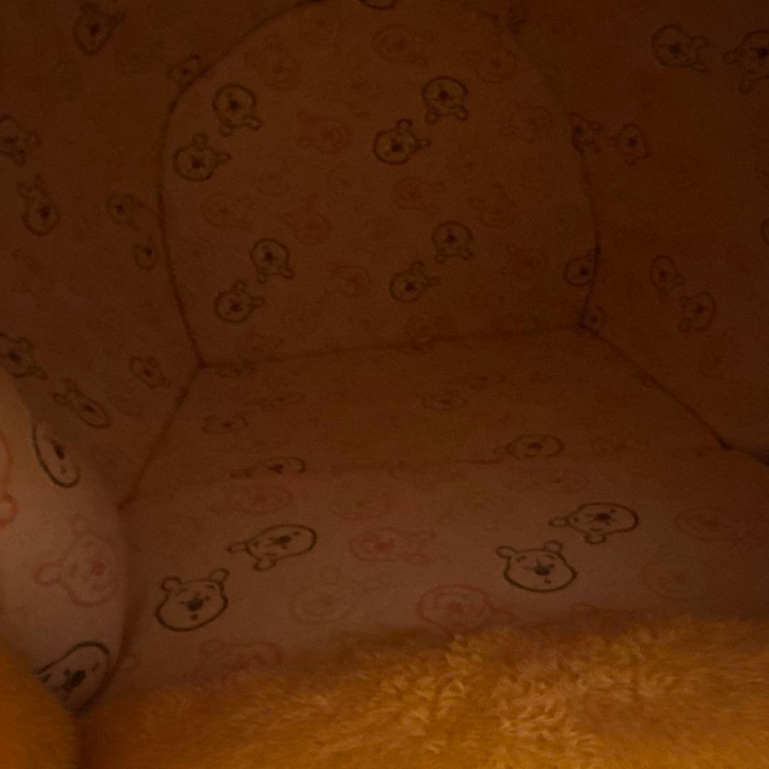 ペットパラダイス くまのプーさん ハニーポットハウス 犬 猫