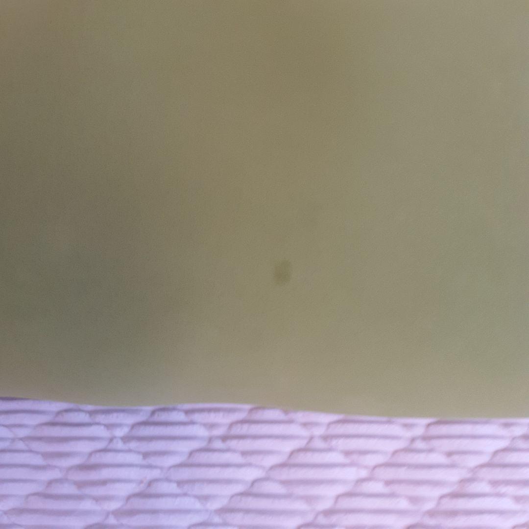 ヨギボー　マックス　yogibo max ライムグリーン　特大サイズ