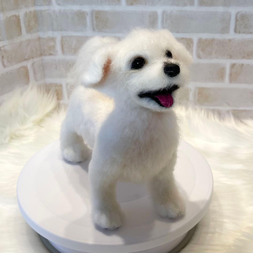 ジ*原様 羊毛フェルト　マルチーズ　momoichigo