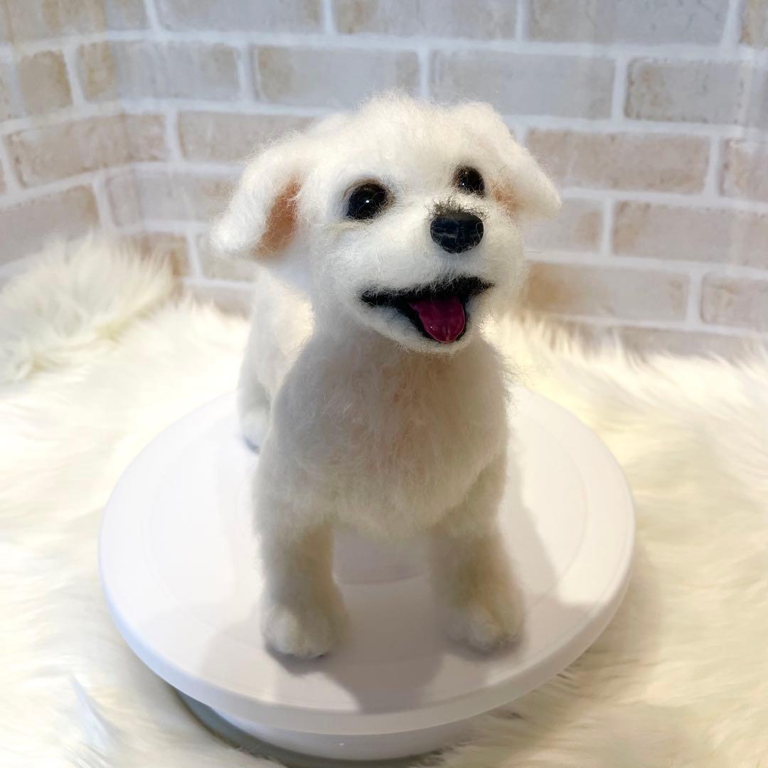 ジ*原様 羊毛フェルト　マルチーズ　momoichigo