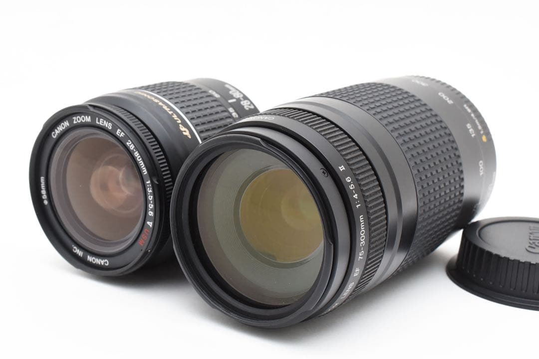 保証付き/Canon EOS 5D Mark IV標準&望遠ダブルレンズセット