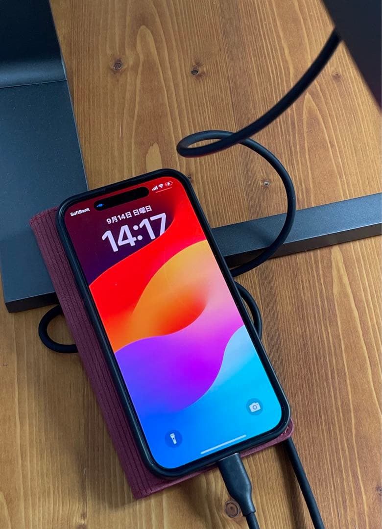 439P9H1/11 Philips 32:10/曲面 ウルトラワイド