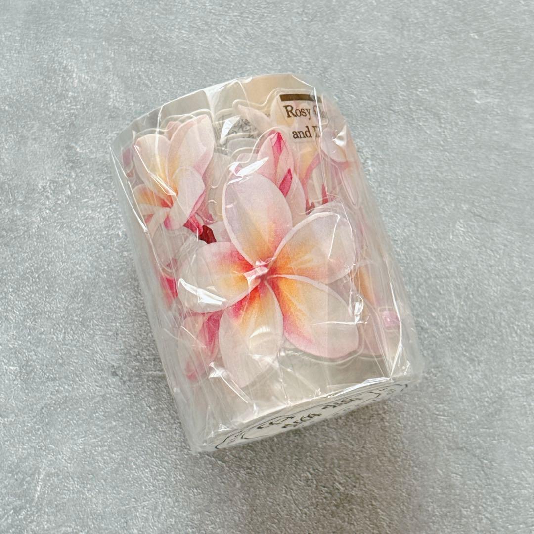 娜娜工坊《粉俏凝露》海外マスキングテープ マステ 【2714】