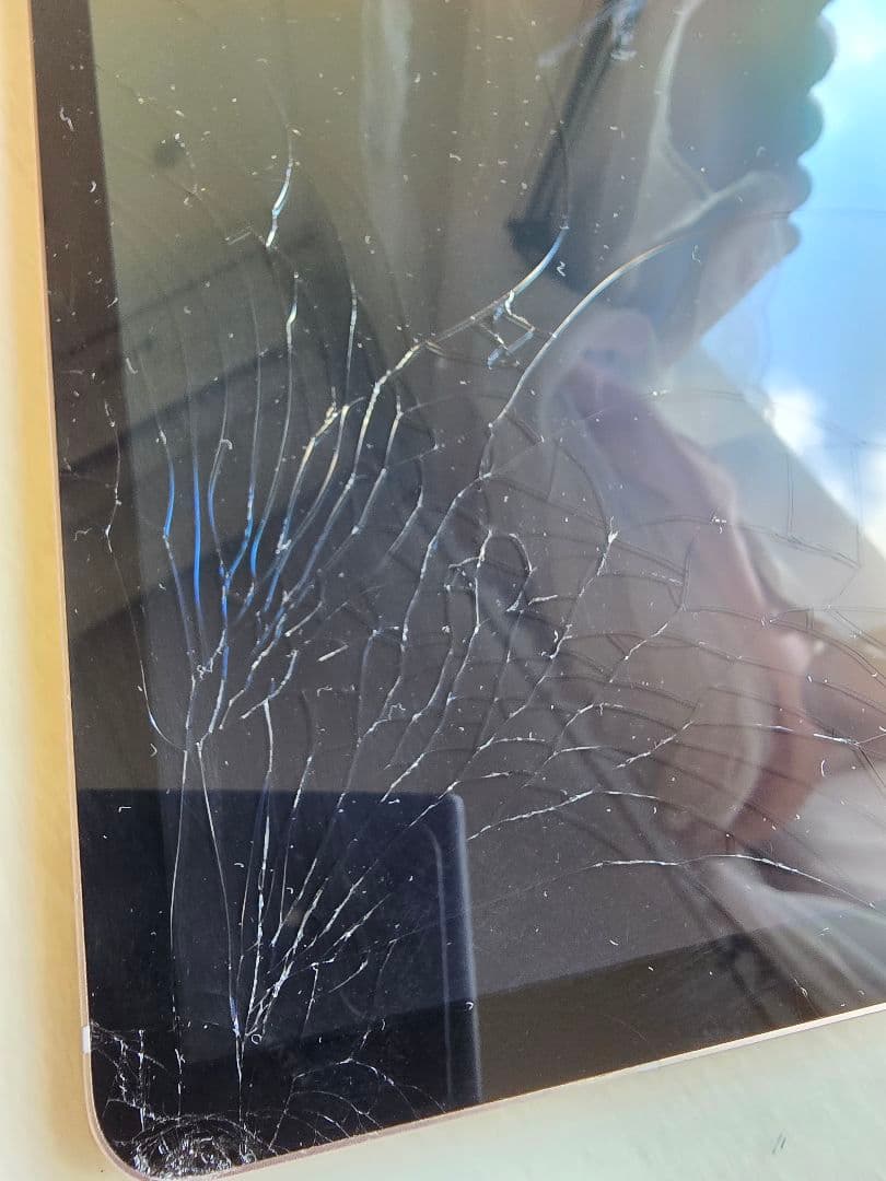 SAMSUNG GALAXY Tab S6 SM-T860N 韓国版 並行輸入品