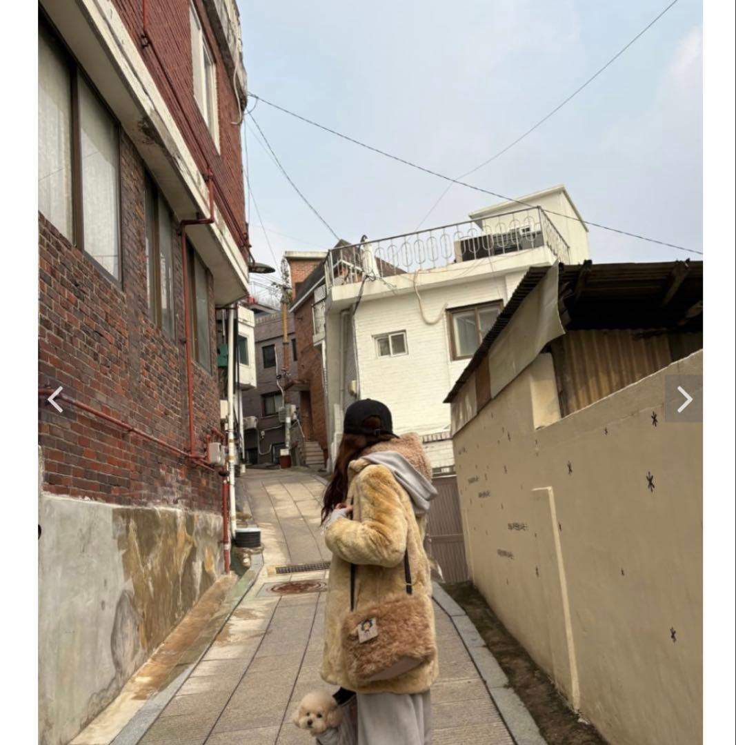 犬服・アクセサリー COZY N Cheeselet Walk Bag Winter Fur