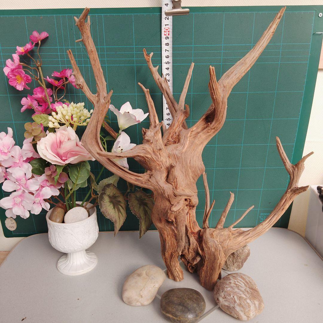 ８３１ホーンウッド灰汁抜き硬質水槽用流木 自然な枝状 約42cm964g