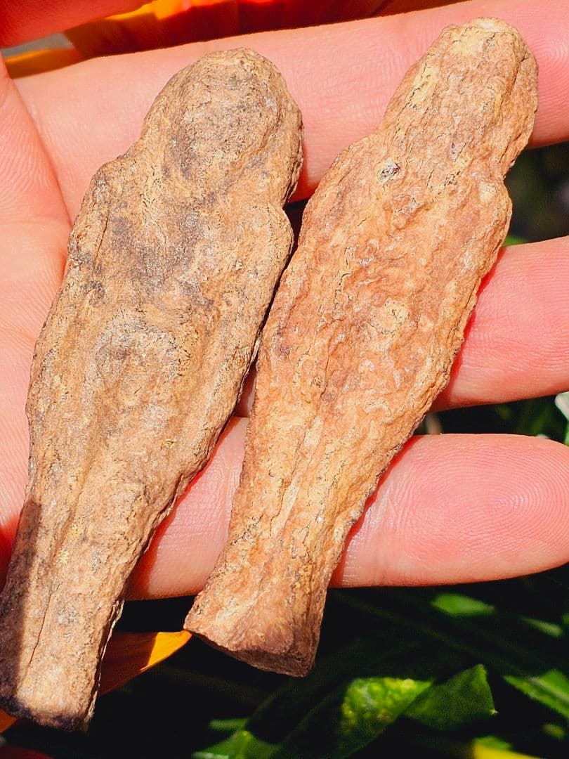 特級呪物✡️ナリーポンとマカリーポンのセット