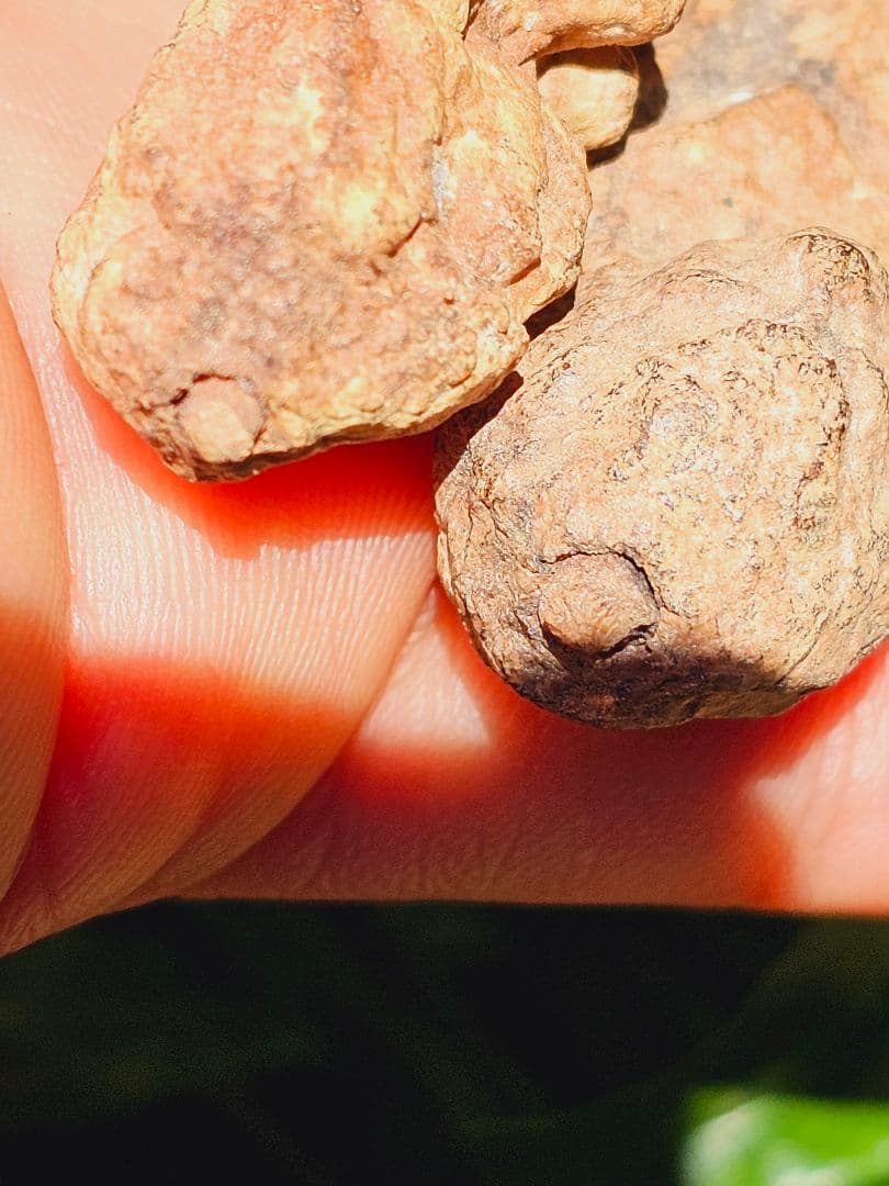 特級呪物✡️ナリーポンとマカリーポンのセット