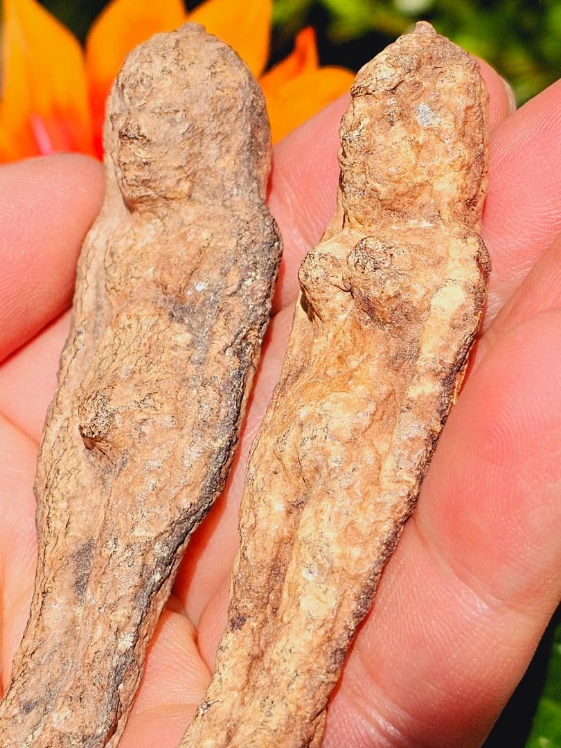 特級呪物✡️ナリーポンとマカリーポンのセット