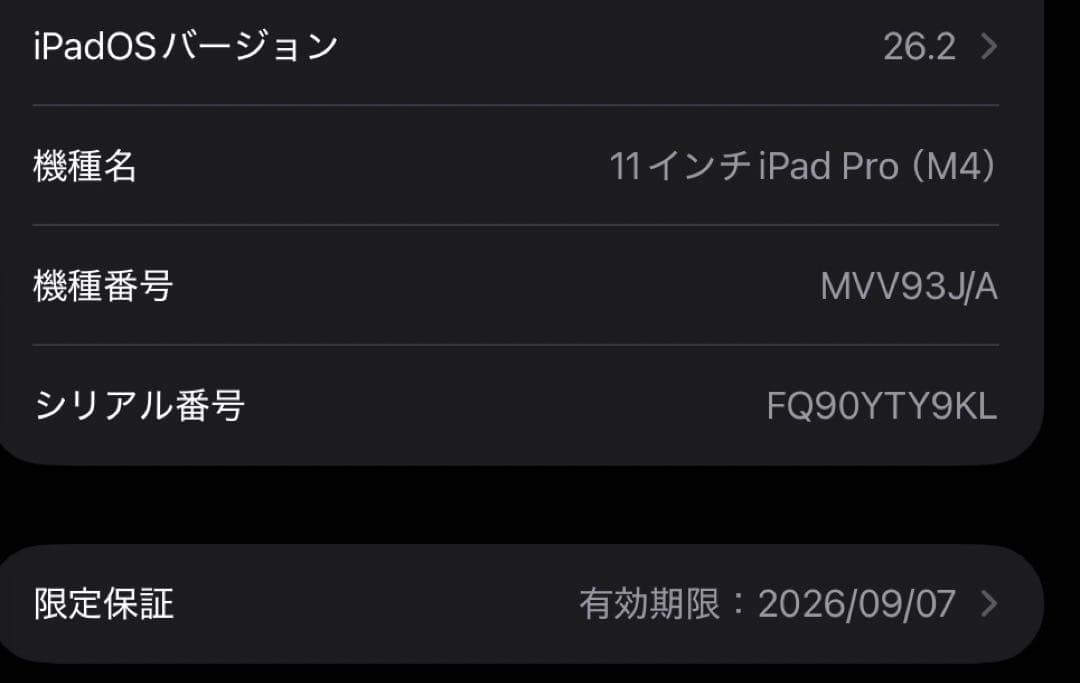 Apple iPad Pro M4 11インチ シルバー 本体