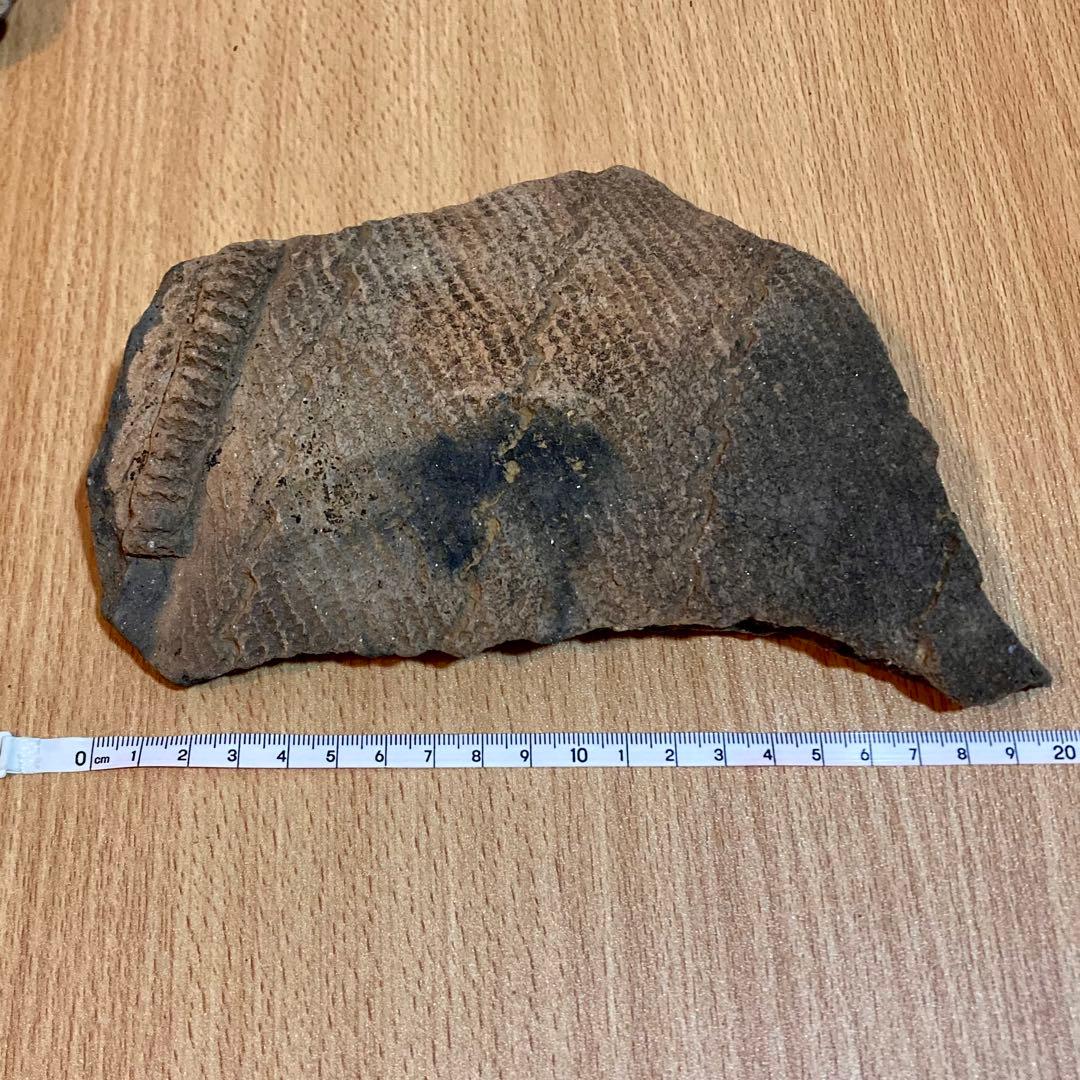 縄文土器の陶片 6点セット　4000〜5500年前