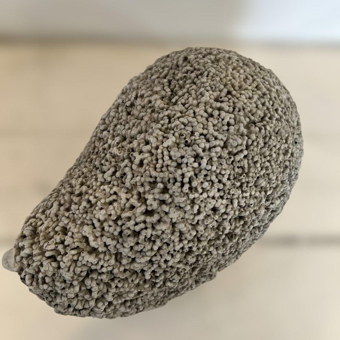 英国ガーデンオーナメントハリネズミ