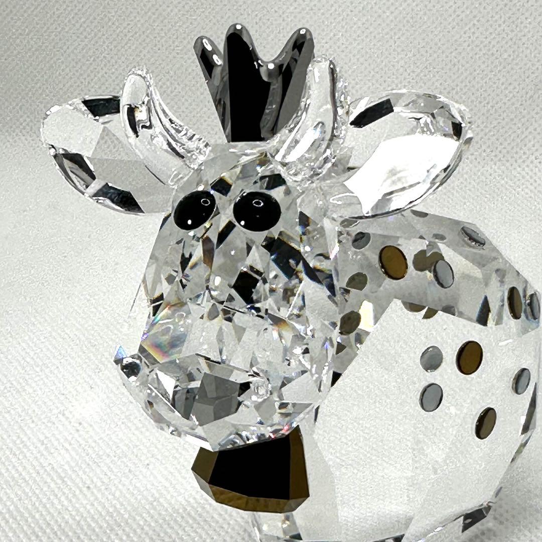 ★スワロフスキー★2020年度限定生産　バースデー プリンセス モー ミディアム