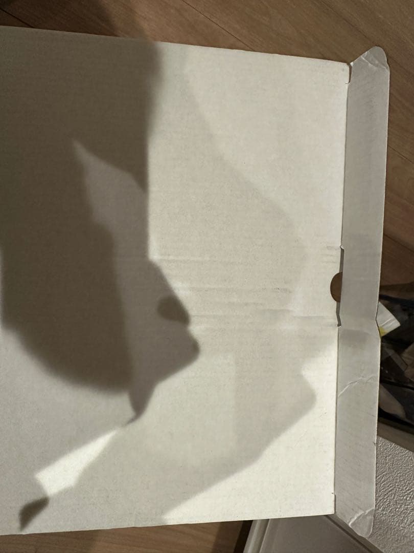 OAKLEY MOD 1 Ｍサイズ　2回のみ使用